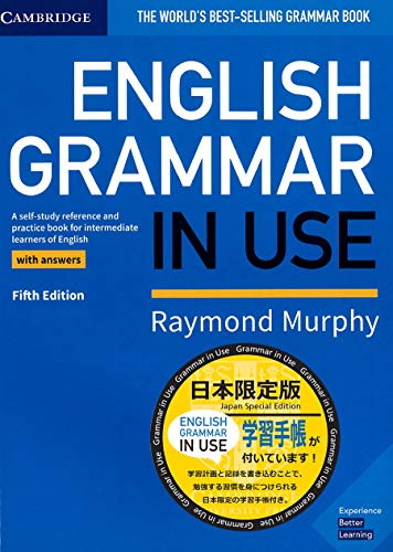 Grammar in Use Intermediate（英語教材） 初級英文法教材の「Basic